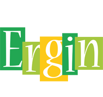 Ergin lemonade logo