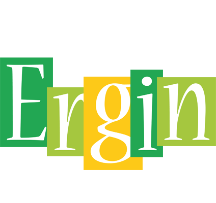 Ergin lemonade logo