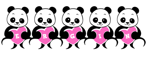 Ergin love-panda logo