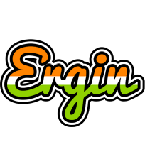 Ergin mumbai logo