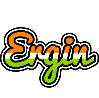 Ergin mumbai logo