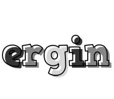 Ergin night logo