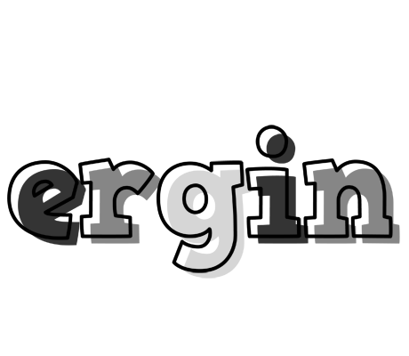 Ergin night logo
