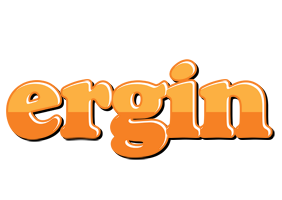 Ergin orange logo