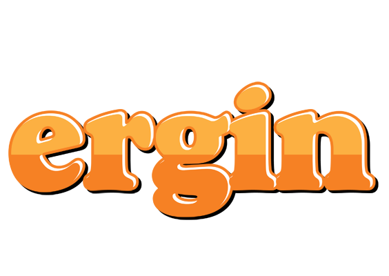 Ergin orange logo