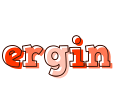 Ergin paint logo