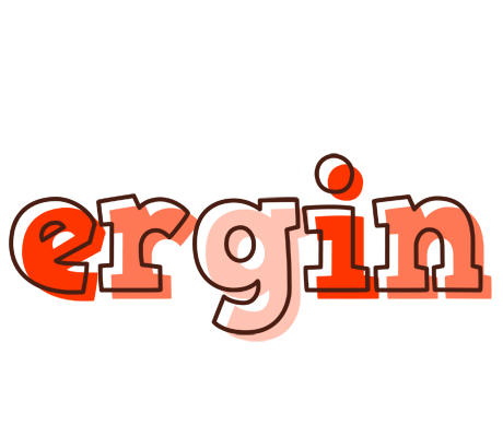 Ergin paint logo