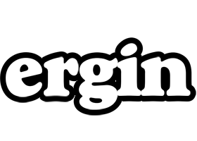 Ergin panda logo