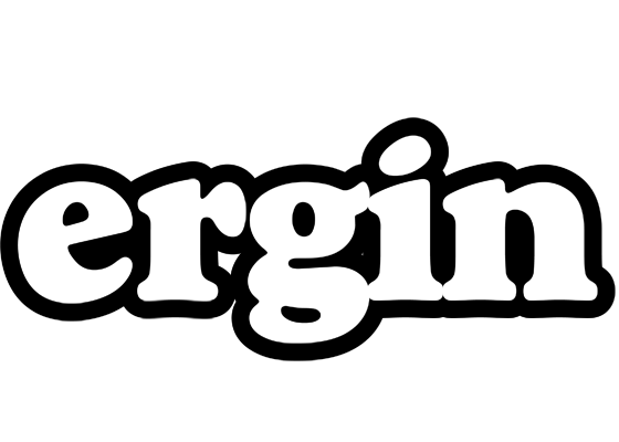 Ergin panda logo