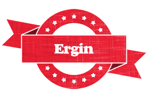 Ergin passion logo