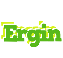 Ergin picnic logo