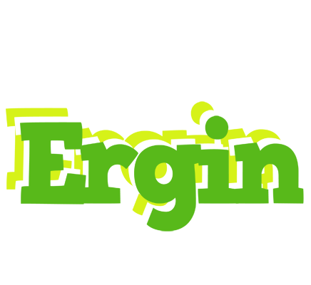 Ergin picnic logo