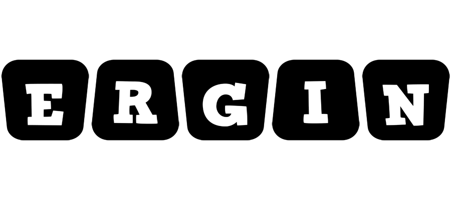 Ergin racing logo