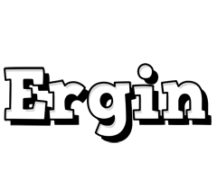 Ergin snowing logo