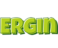 Ergin summer logo