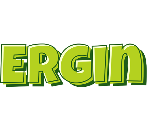 Ergin summer logo