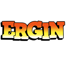 Ergin sunset logo