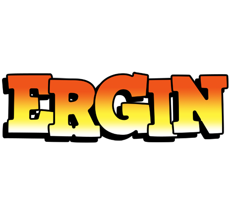 Ergin sunset logo