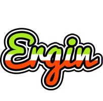 Ergin superfun logo