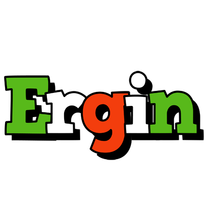 Ergin venezia logo
