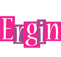 Ergin whine logo