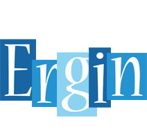 Ergin winter logo