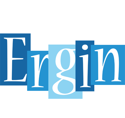 Ergin winter logo