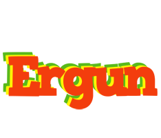 Ergun bbq logo