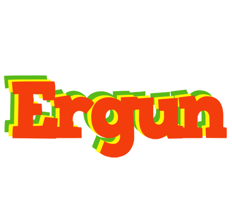 Ergun bbq logo