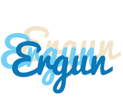 Ergun breeze logo