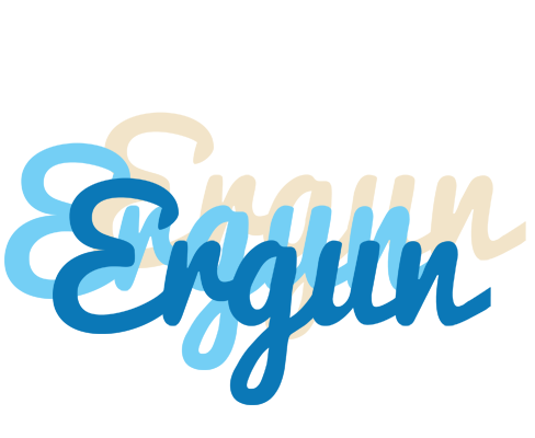 Ergun breeze logo
