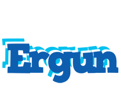 Ergun business logo