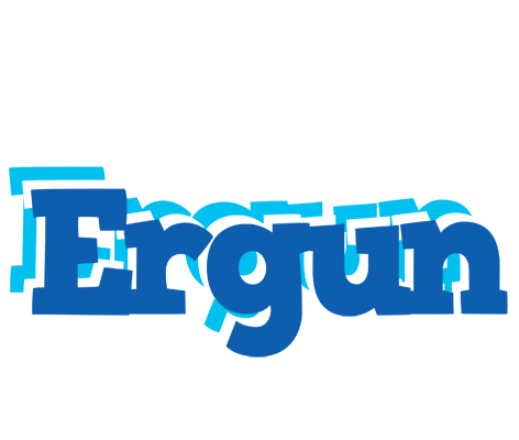 Ergun business logo