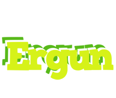 Ergun citrus logo