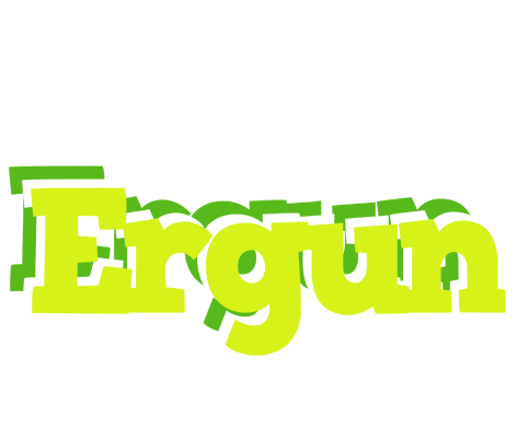 Ergun citrus logo