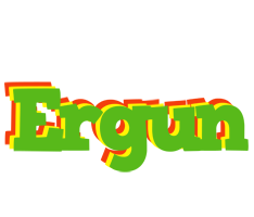 Ergun crocodile logo