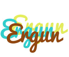 Ergun cupcake logo