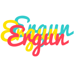 Ergun disco logo