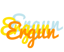 Ergun energy logo