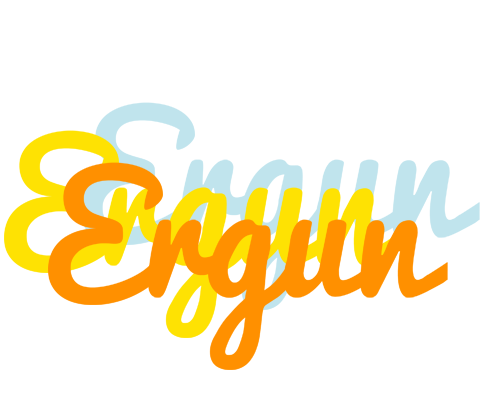 Ergun energy logo