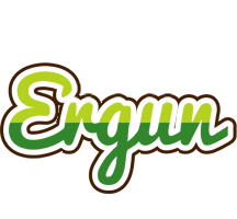 Ergun golfing logo