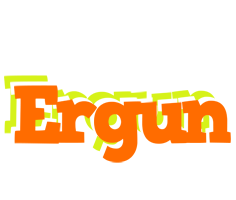 Ergun healthy logo