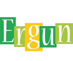 Ergun lemonade logo