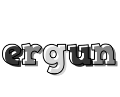 Ergun night logo