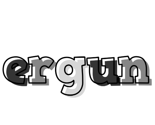 Ergun night logo