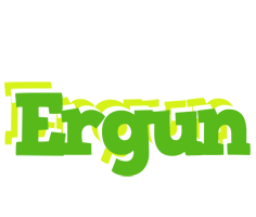 Ergun picnic logo