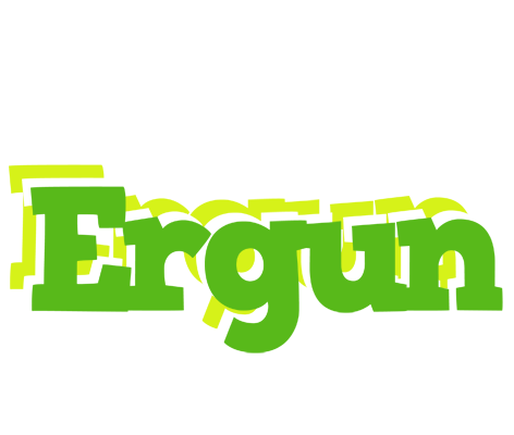 Ergun picnic logo