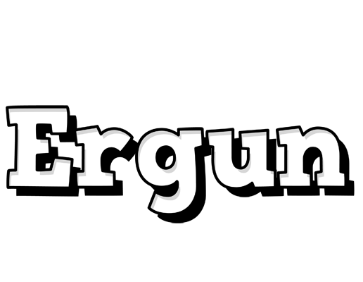 Ergun snowing logo