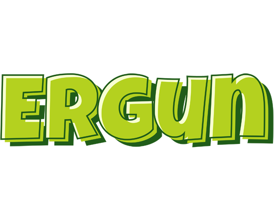 Ergun summer logo