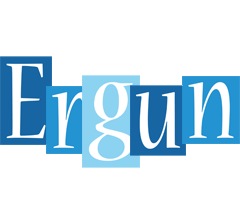 Ergun winter logo